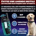 81IdvnaD9cL._AC_SL1500_