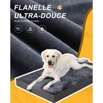 71psbq7rw4L._AC_SL1500_