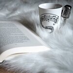 81tVUiSoOpL._AC_SL1500_