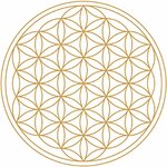 61E7nWNcZeL._AC_SL1000_