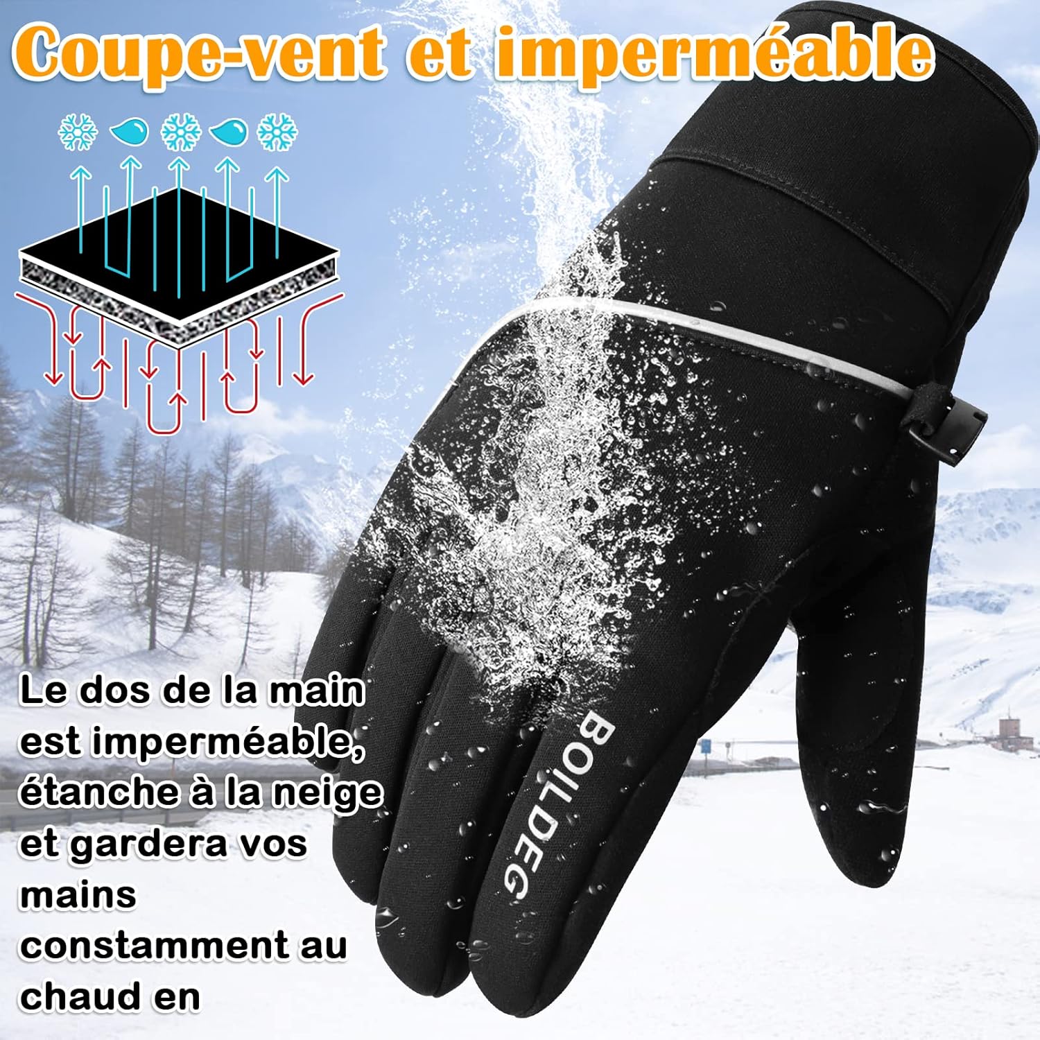 81qN-0YPAeL._AC_SL1500_