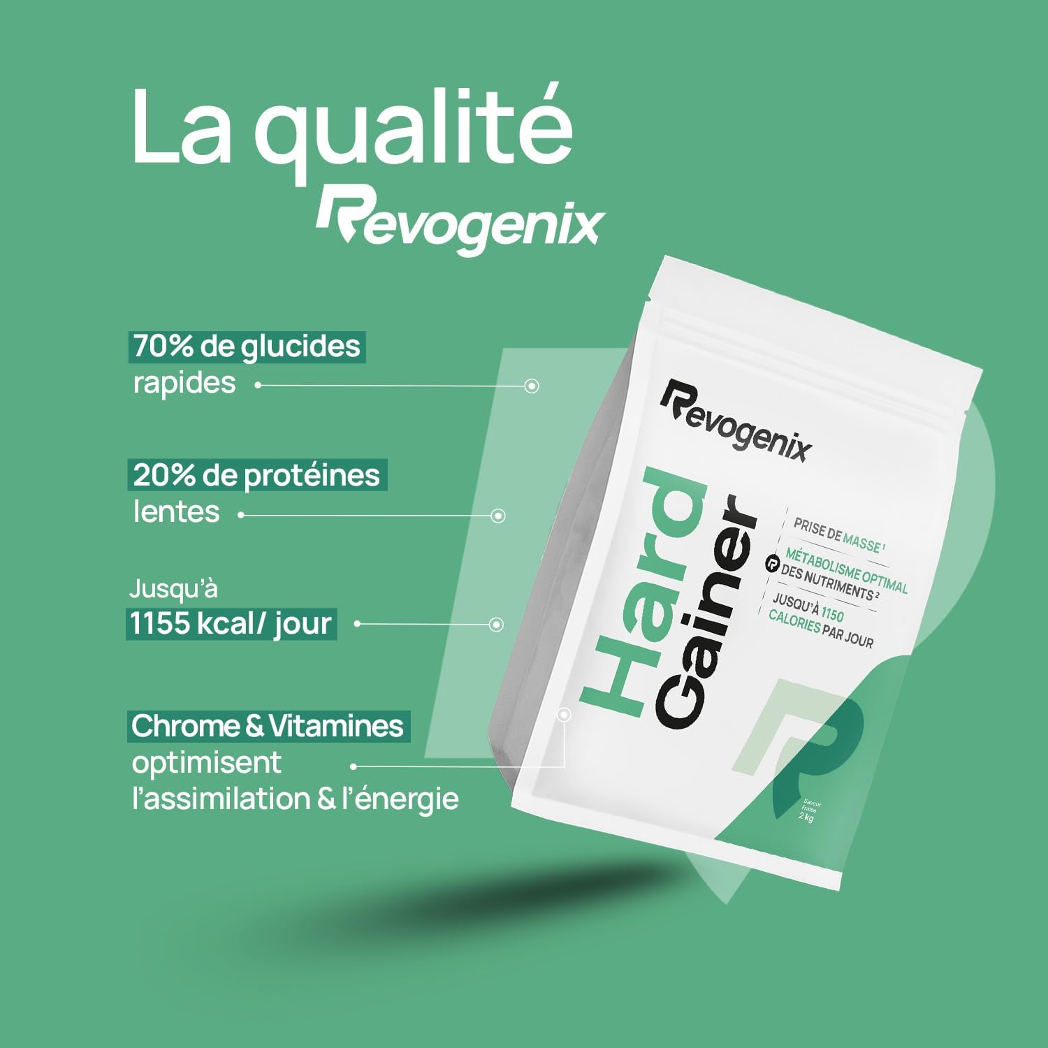 61Cch4-l1nL._AC_SL1500_