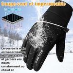 81qN-0YPAeL._AC_SL1500_