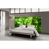 Tete de lit-foret