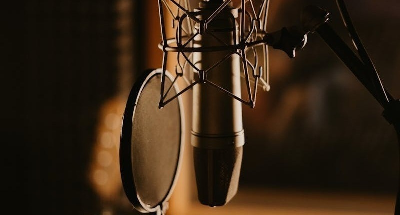 Vocal Microphone