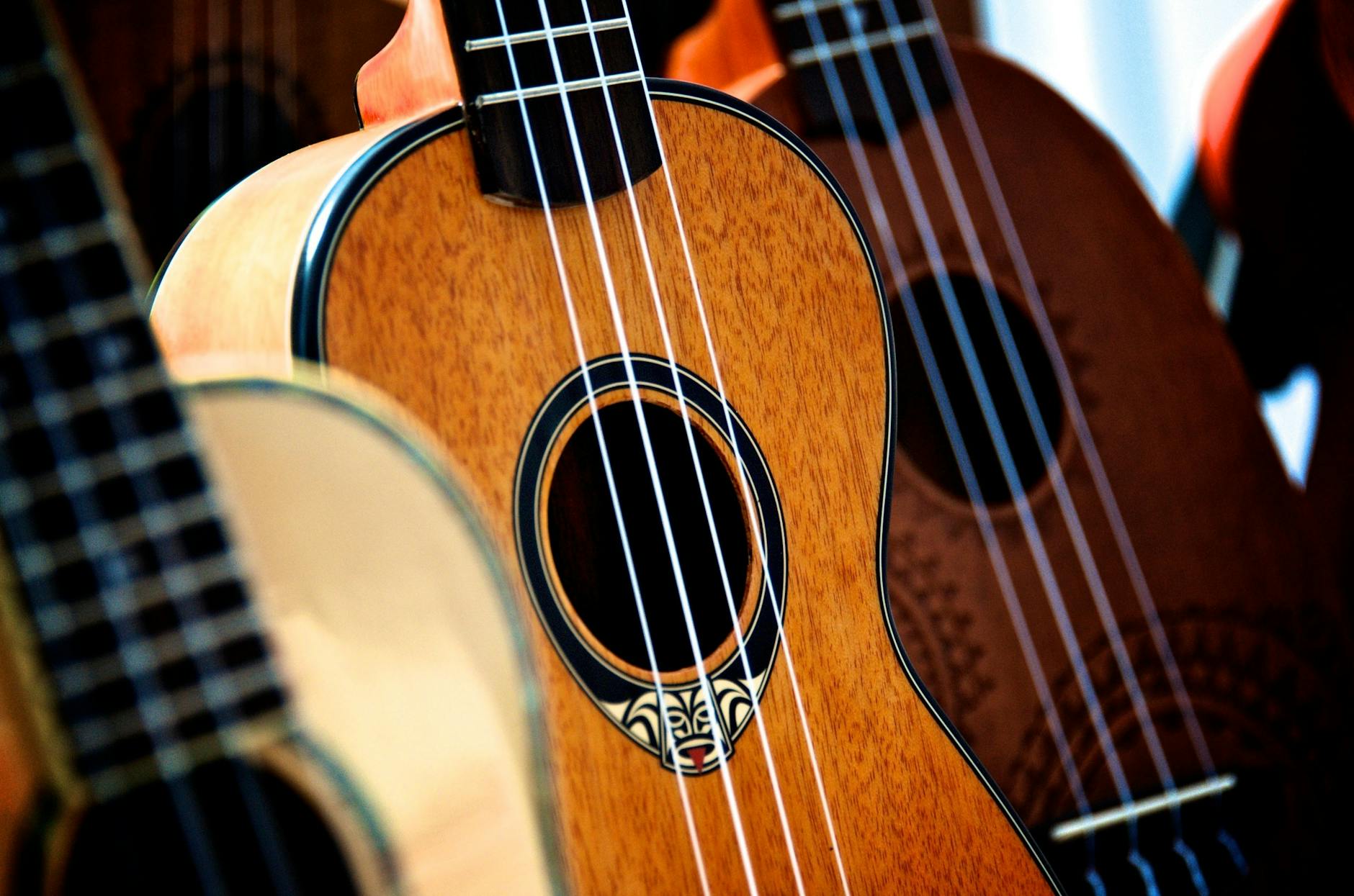 detailed view of classic acoustic guitars and ukuleles showcasing wooden textures and design