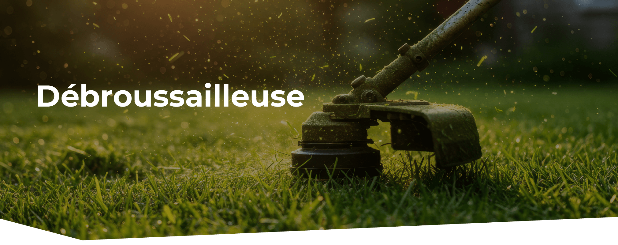 Débroussailleuse