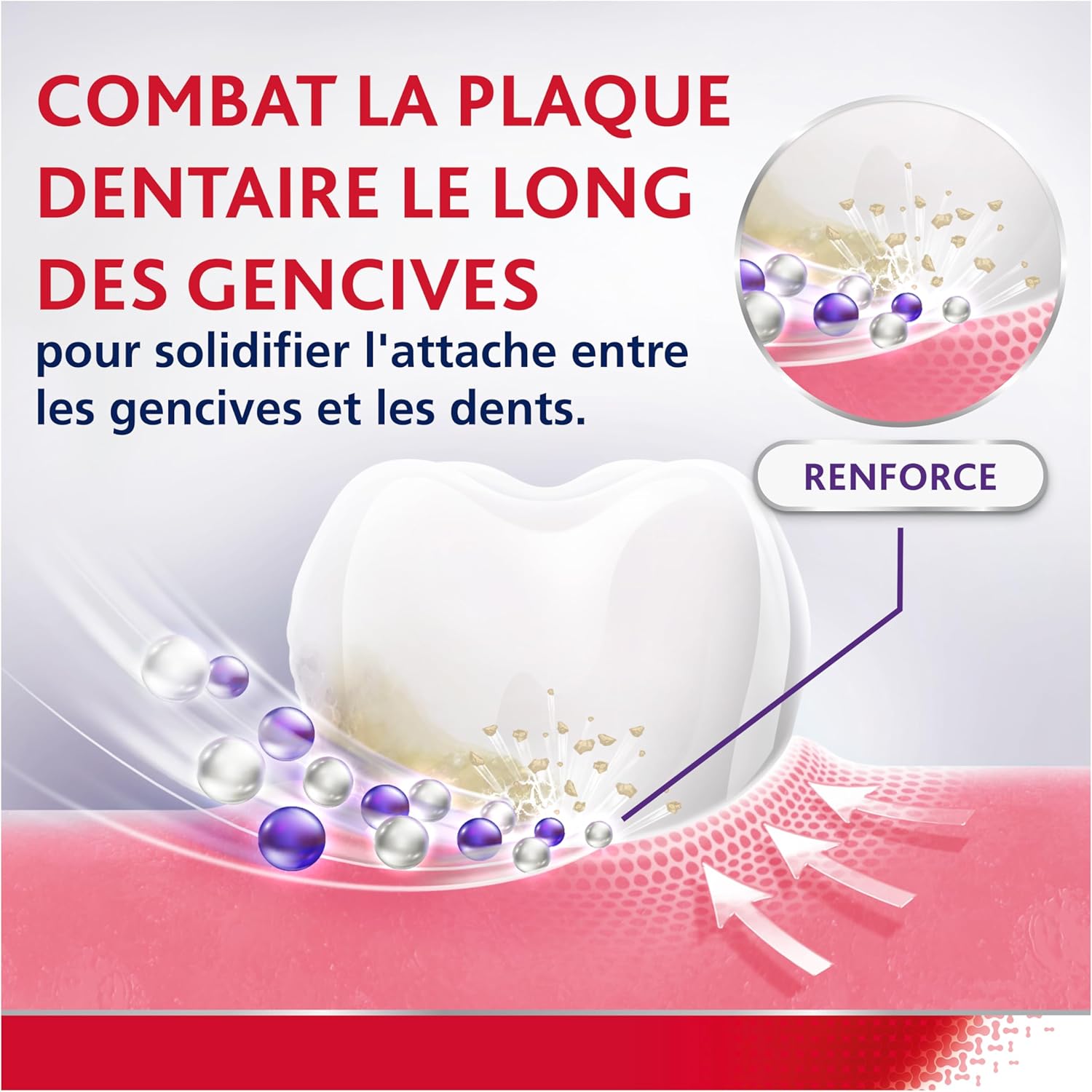 81S0Q5dt+bL._AC_SL1500_