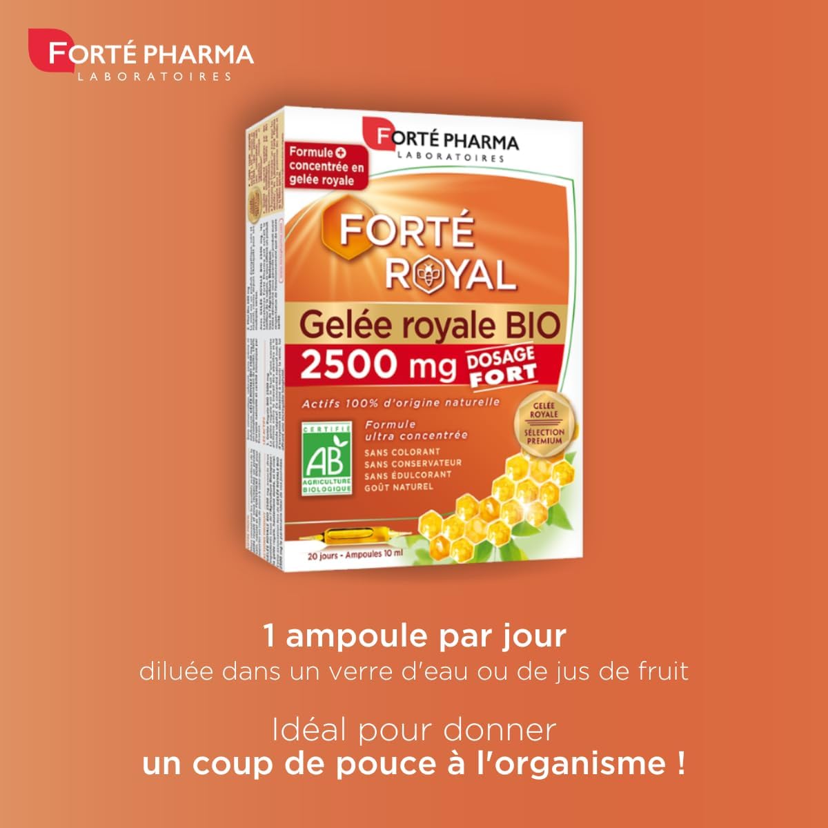 61cDQ6oxtvL._AC_SL1200_
