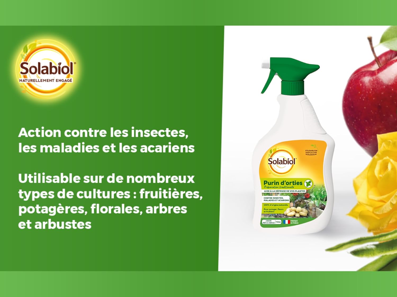 71tbYXBe8-L._AC_SL1500_