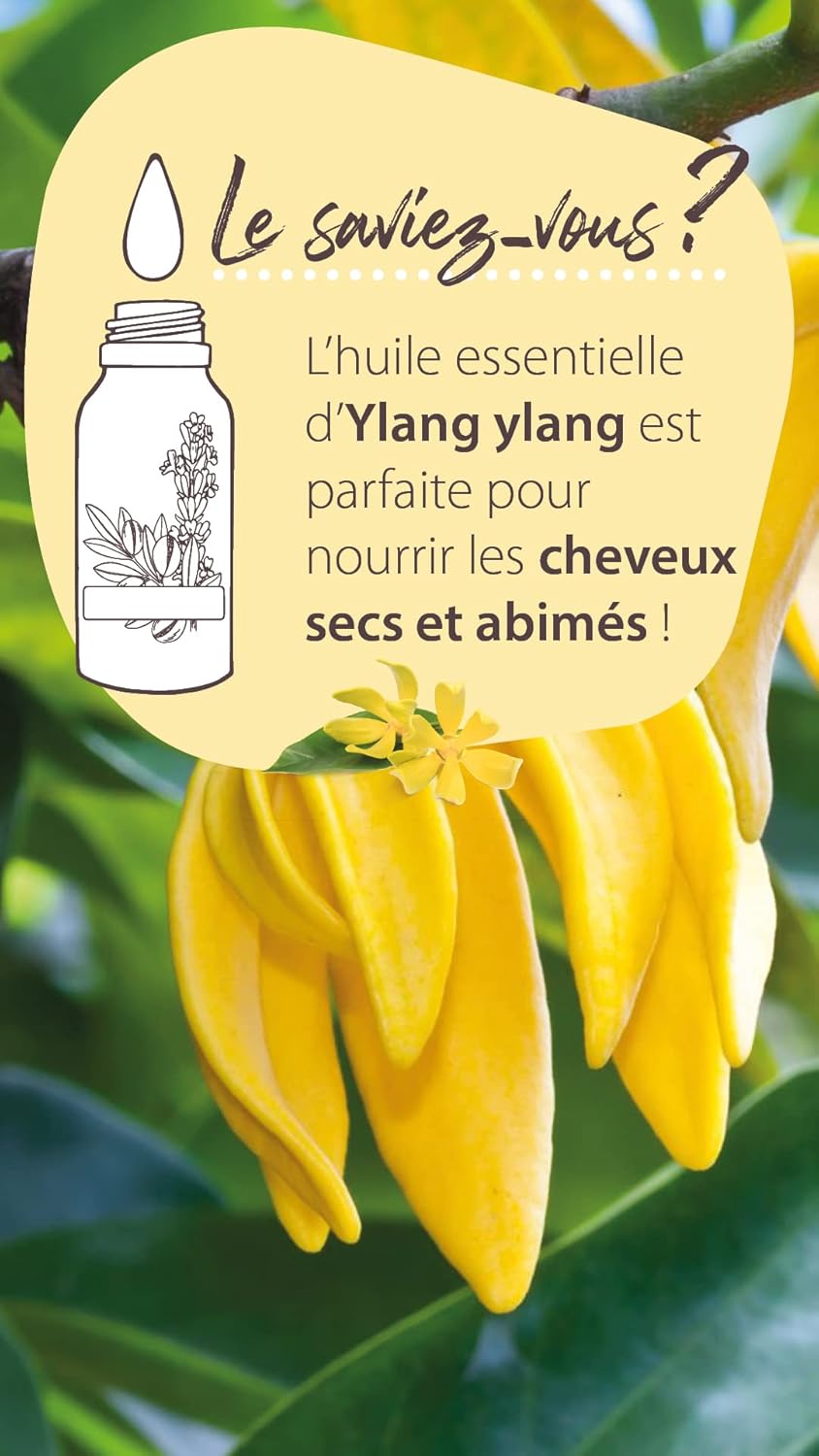 71DUpbycdxL._AC_SL1500_