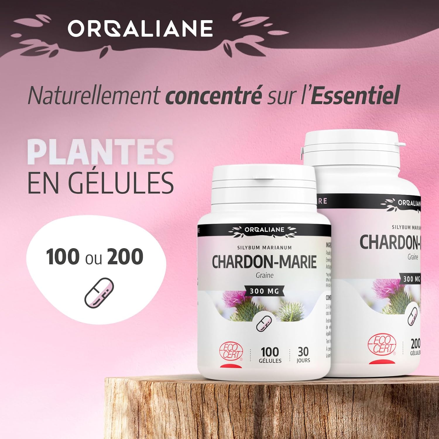 71gNqjUxl+L._AC_SL1500_