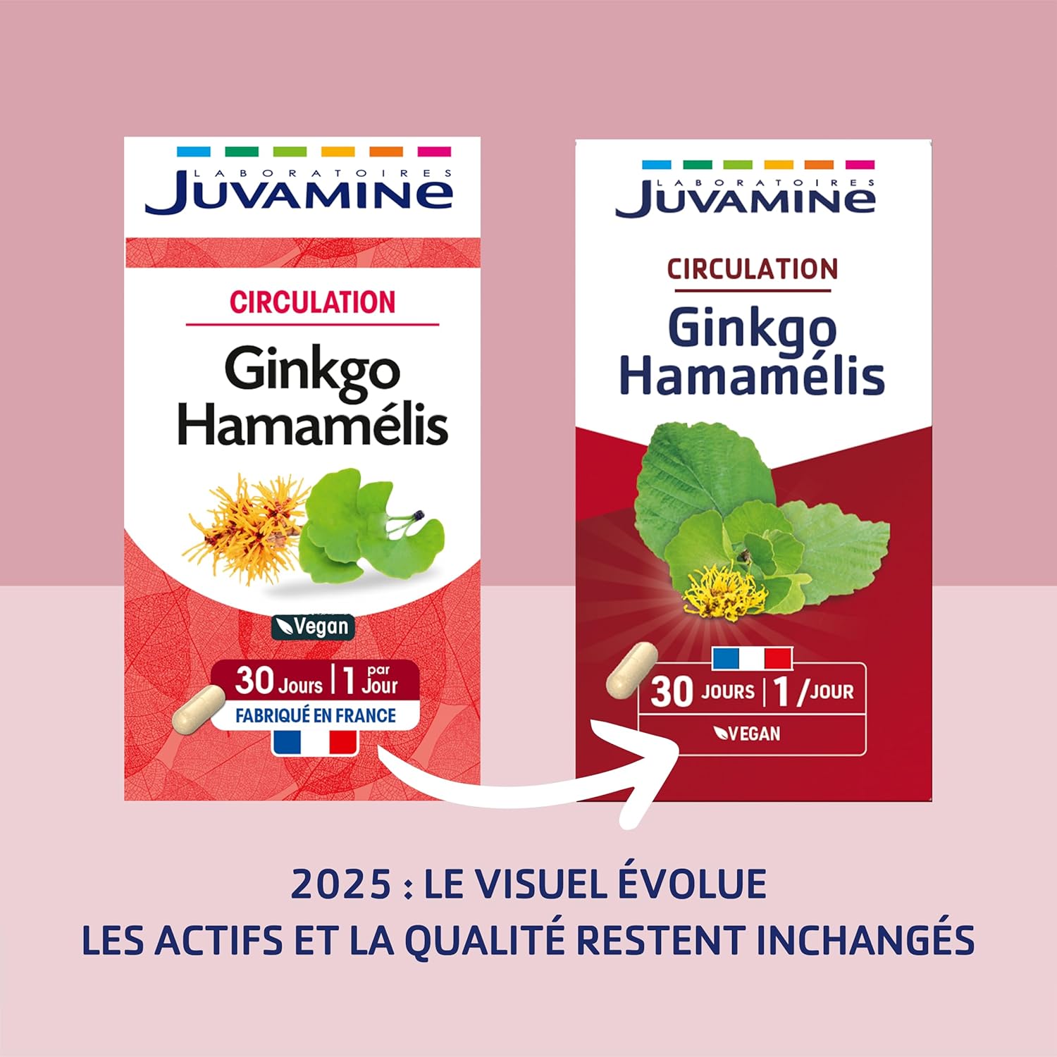 81jVA1TB5xL._AC_SL1500_