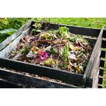 91QTkNSlSIL._AC_SL1500_