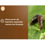61LZvl-UCSL._AC_SL1500_