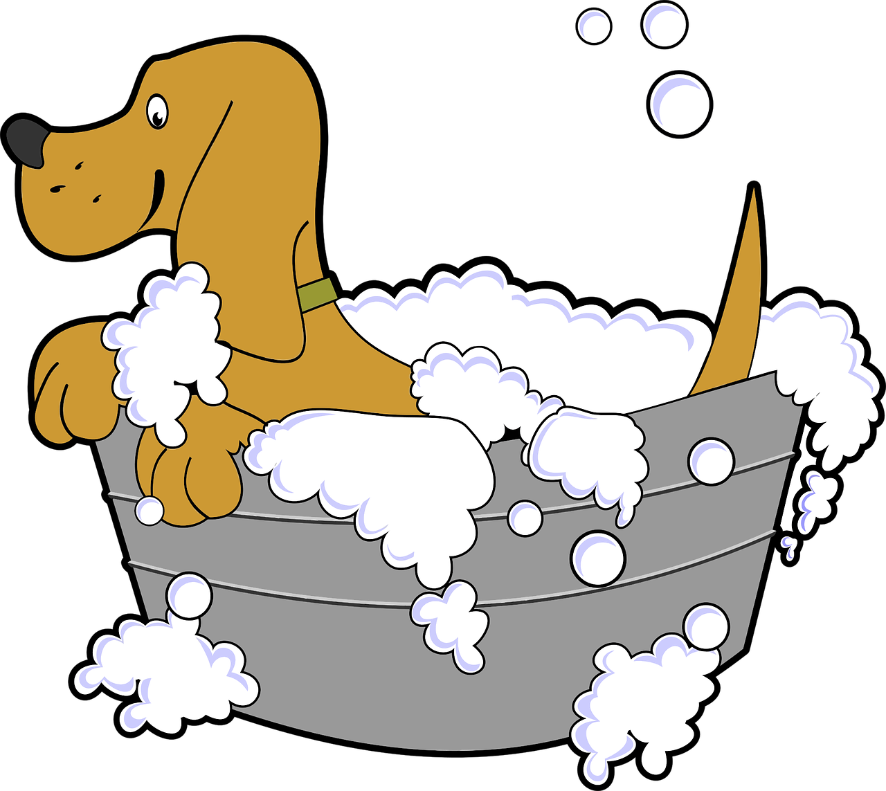 animal-1298962_1280