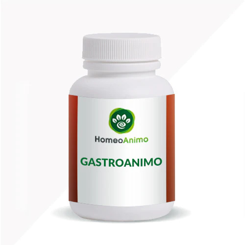 GASTROANIMO_-_SINGLE