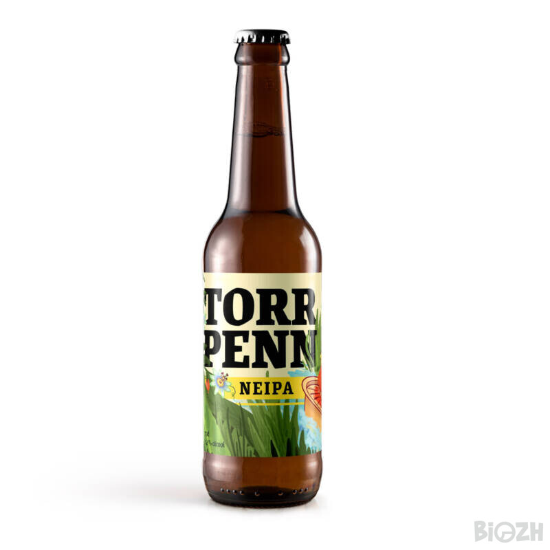 mockup-torr-penn-neipa-1