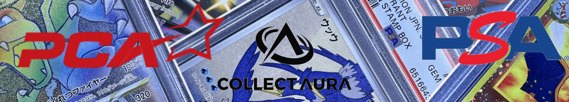 design sans titre 12