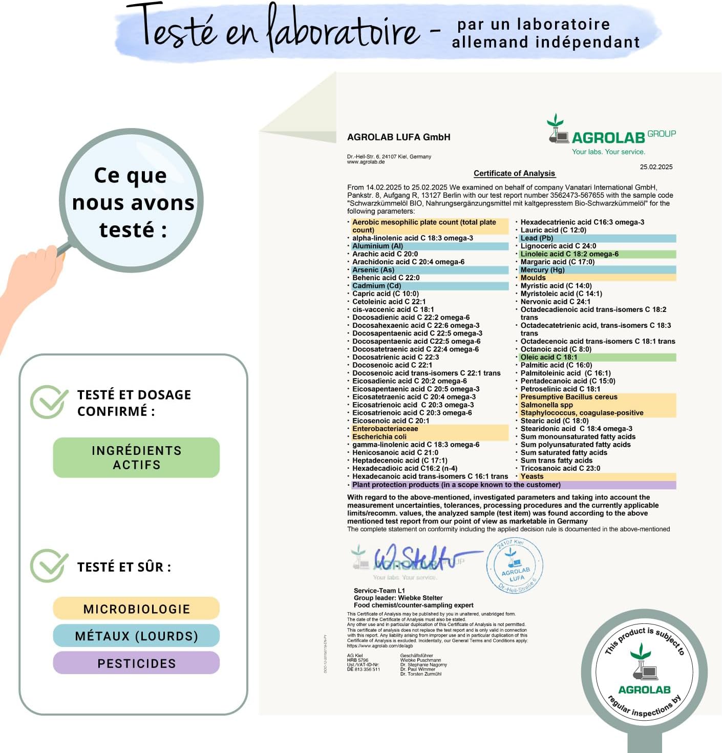 713UkfNbAtL._AC_SL1500_