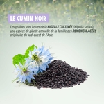 71cRwbXgq5L._AC_SL1500_