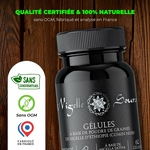 81qGgYsrT4L._AC_SL1500_