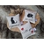 20260107_103530