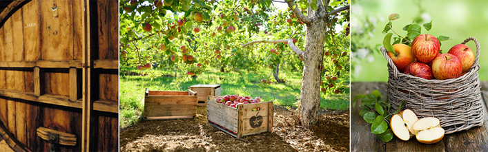 Bandeau 2 Vinaigre de Cidre Bio