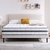71Enva5y26L._AC_SL1500_