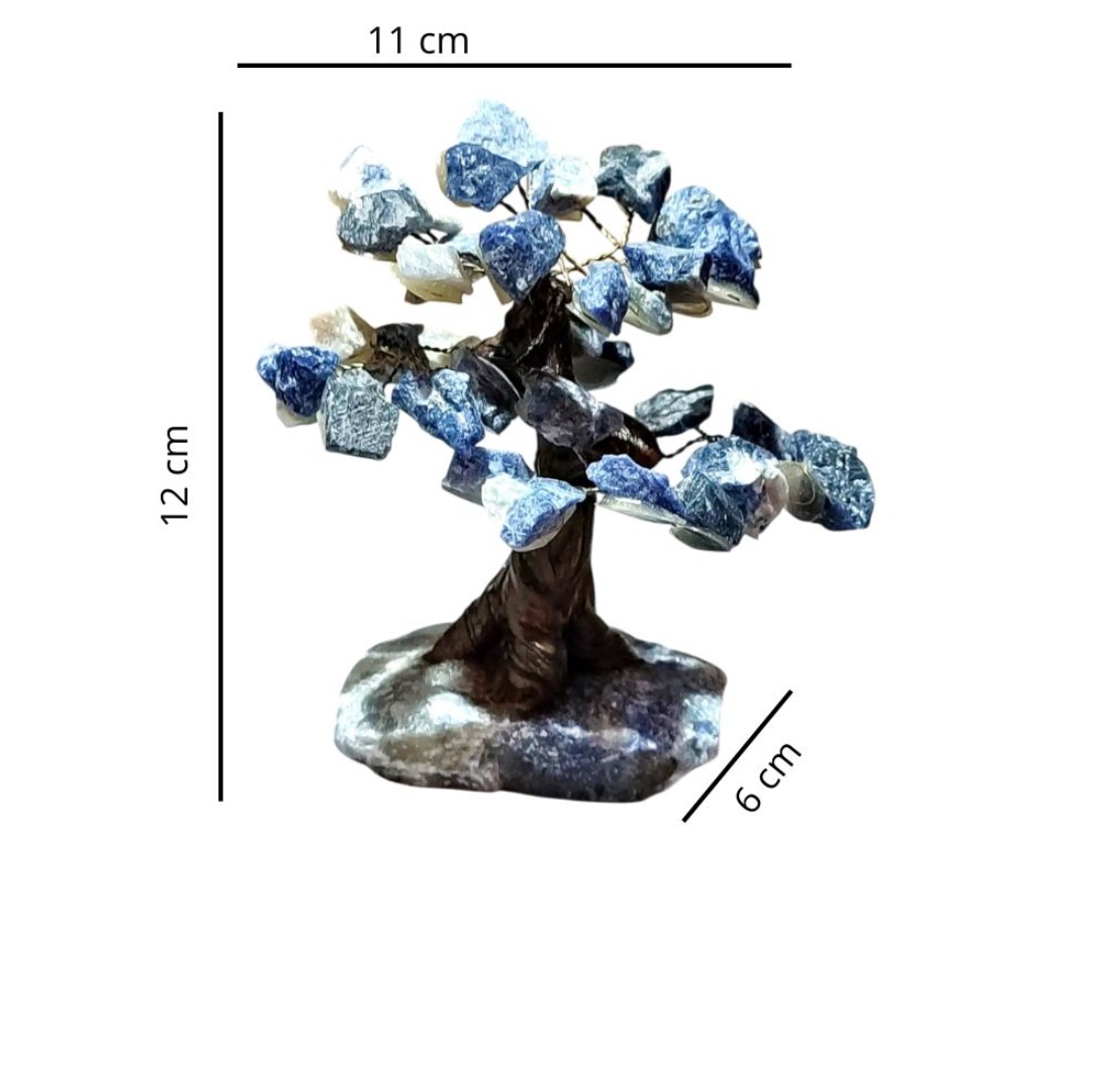 13cm (2)
