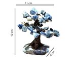 13cm (2)