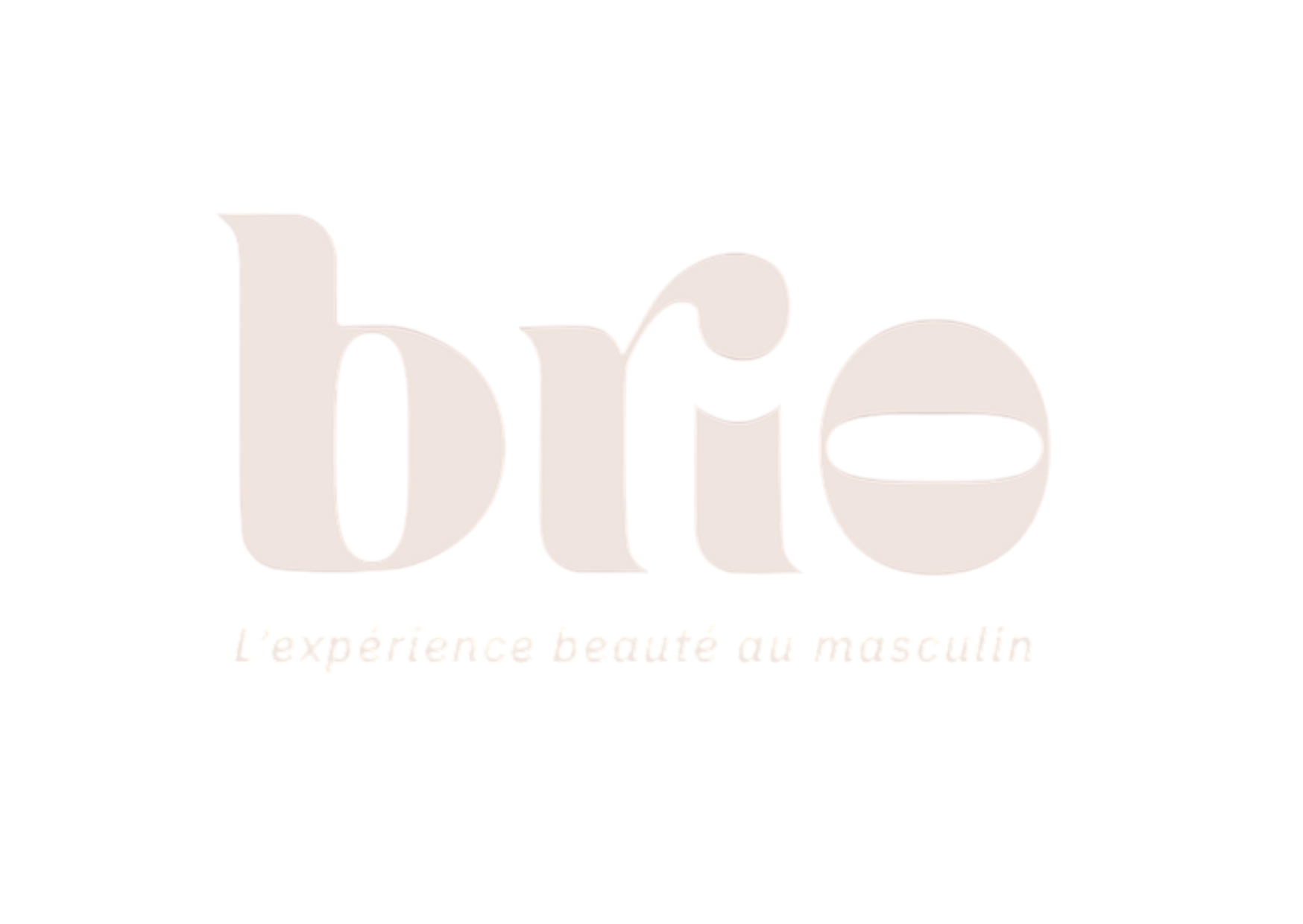 Brio l'expérience beauté au masculin