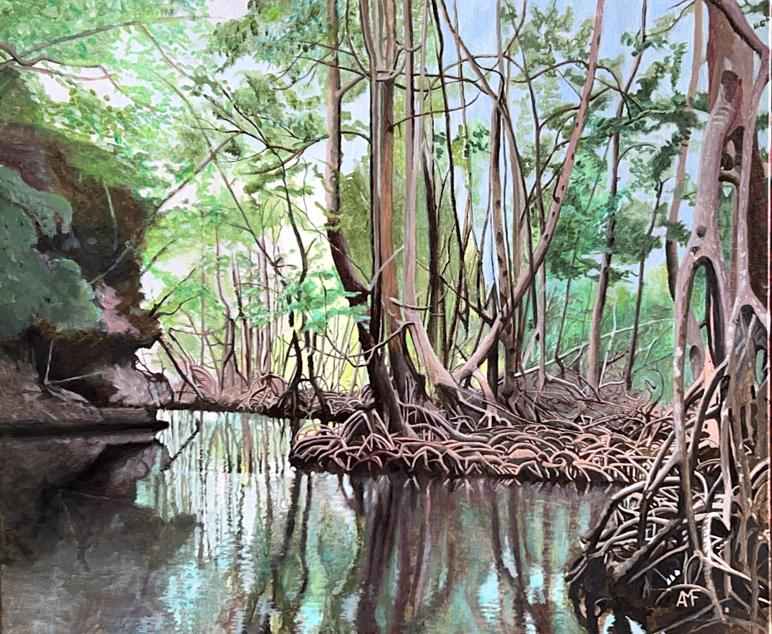 Mangrove