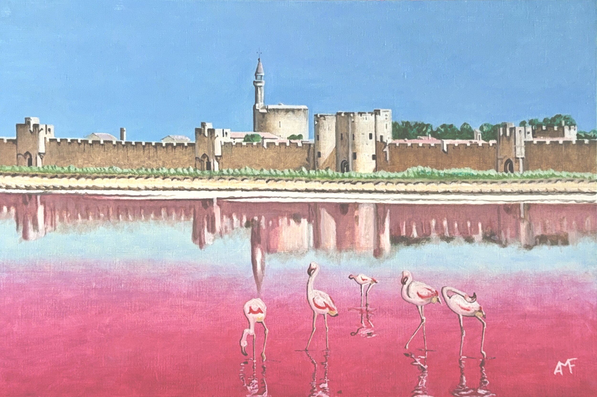 Aigues Mortes