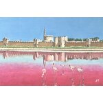 Aigues Mortes