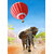 Air safari 2