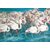 Réveil de flamants roses 1