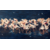 Réveil de flamants roses 2