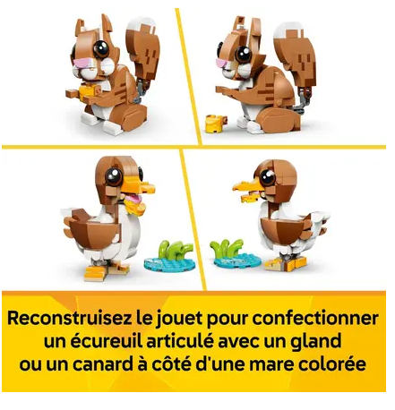Capture décran 2026-05-29 163639