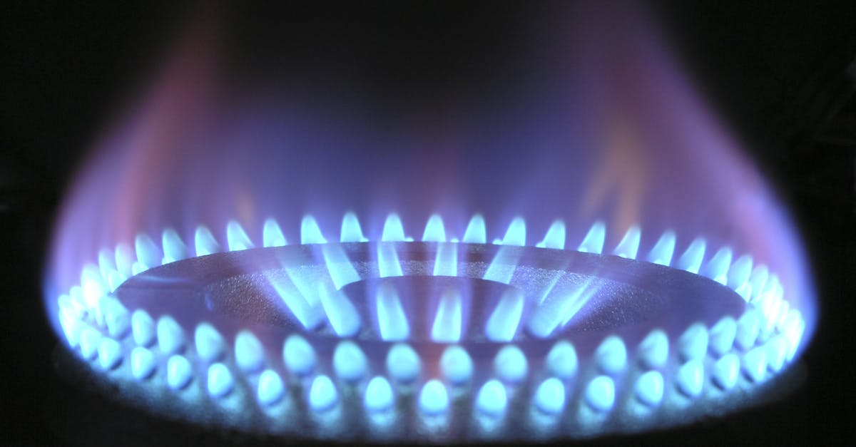 a detailed view of a blue flame on a gas stove illustrating heat and warmth