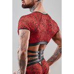 photo1_800