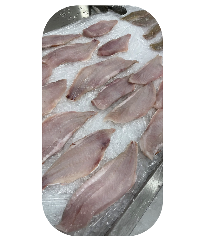 maison clm poissonerie