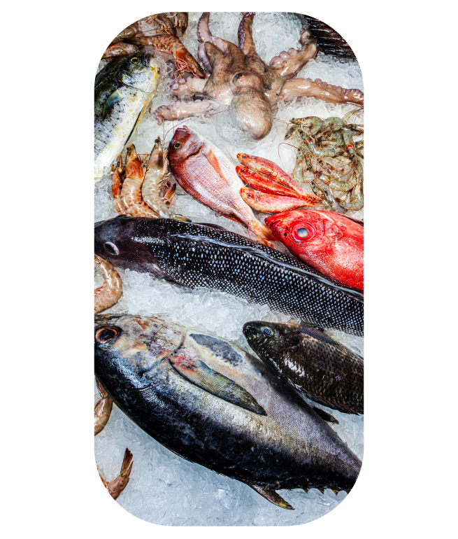 maison clm poissonerie 2