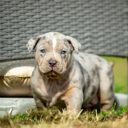 imgi 1 0y1a7569