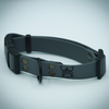 collier gris chiot