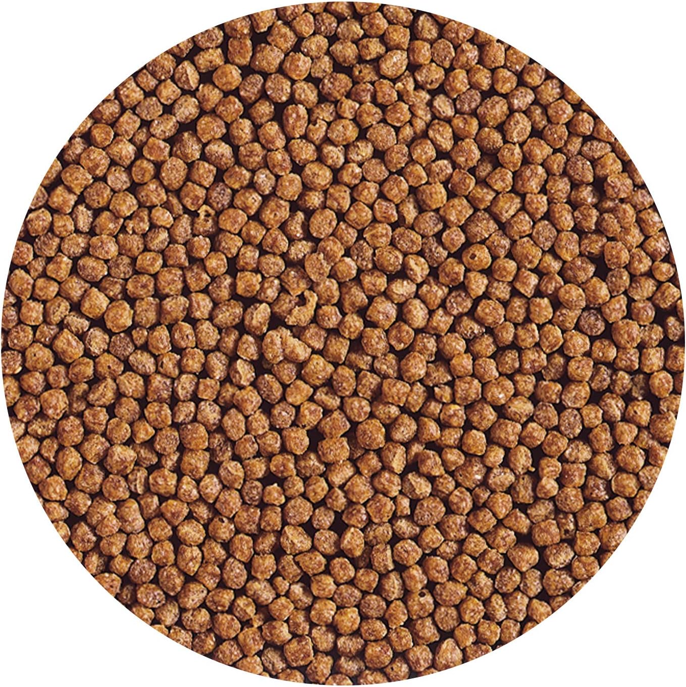 81TuJHs4SsL._AC_SL1500_