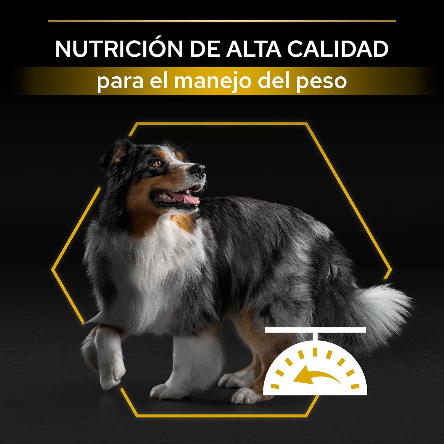 81cLGJn5KnL._AC_SL1500_