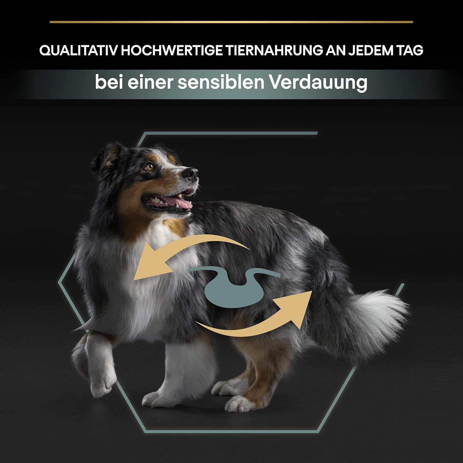 81n6zXUzX3L._AC_SL1500_