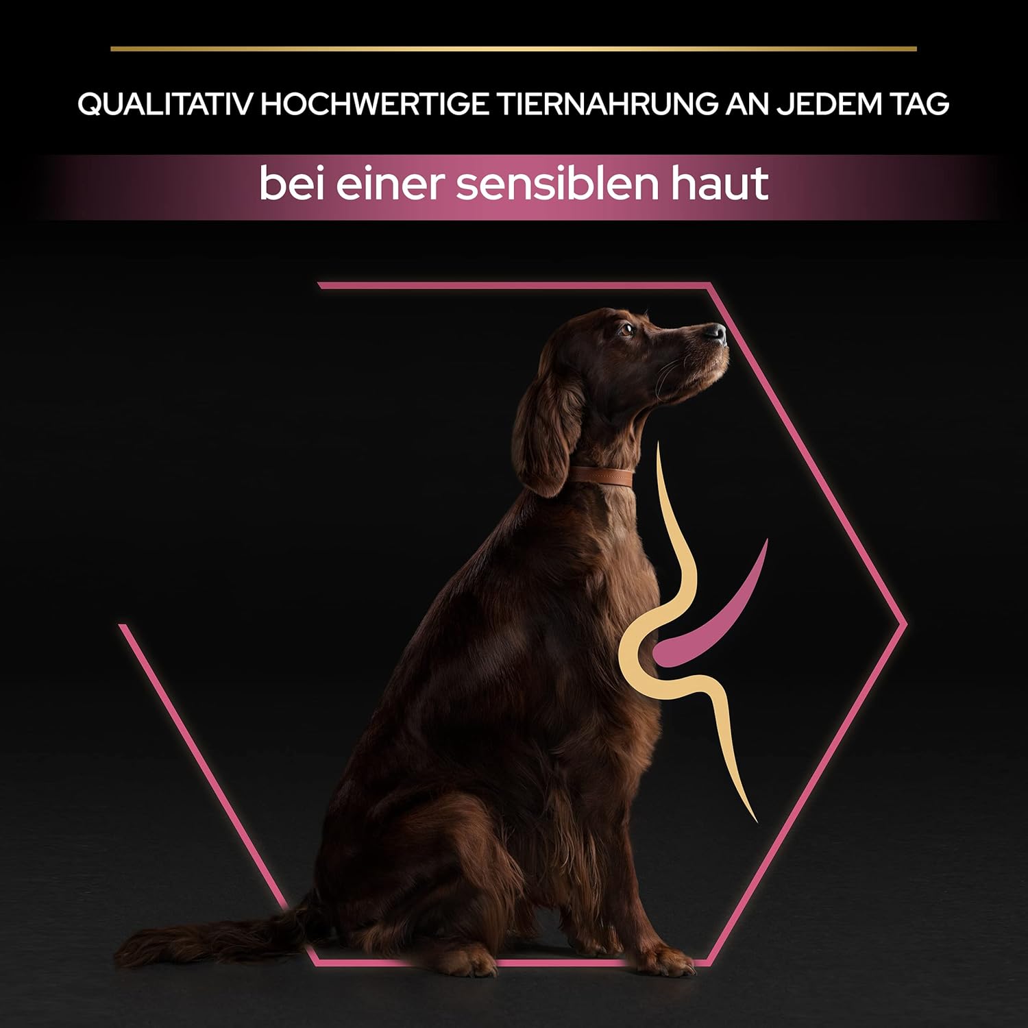 71TTcnQnQLL._AC_SL1500_