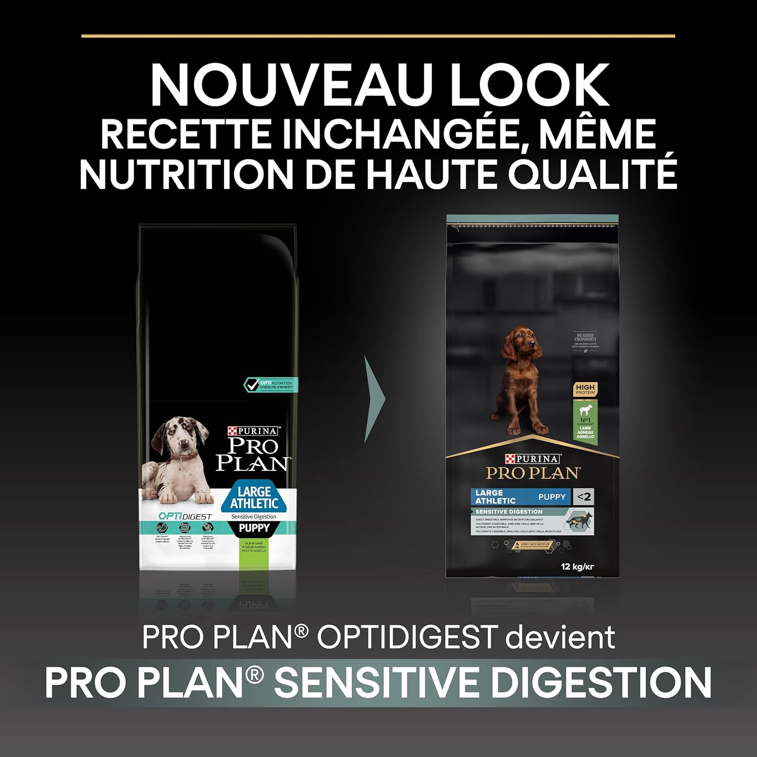 71obAfLyc5L._AC_SL1500_